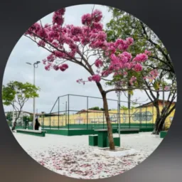 APOLLO Xl  VENDAS E INFORMAÇÕES 👩🏾‍💻😎🫡👨🏽‍💻