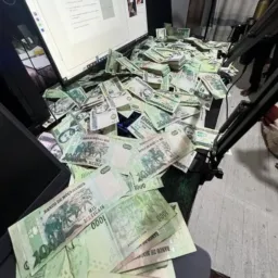 INVESTIMENTO SEGURO 💸