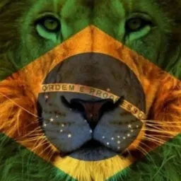 🇧🇷Pátria Amada Brasil🇧🇷 #BR19