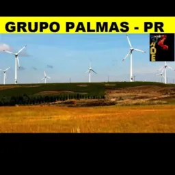 GRUPO DE AMIGOS PALMAS PARANÁ