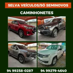 SELVA E SÓ SEMINOVOS CAMINHONETES