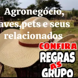Agro,vendas e trocas , aves ,animais e relacionados 🐖🐴🪿🦃🚜