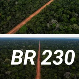 Br 230 Rurópolis a Medicilândia Norte e Sul. 🇧🇷 🇧🇷
