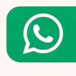 Vendas Borba am
