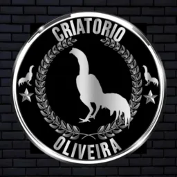 Vendas de Galos e Galinhas de Raça 🐓🥇🏆