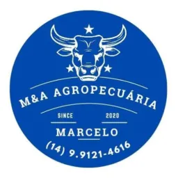 GRUPO M&A