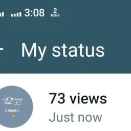 5k Status Views