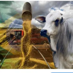 Nova dimensao - regiao compra e venda🤝