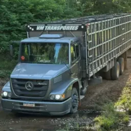 OS BOIADEIROS DA FÉ