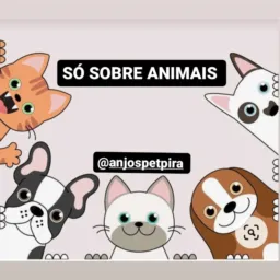 SÓ SOBRE  ANIMAIS🐱🐶