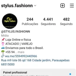 STYLUS FESHION DISPONÍVEL