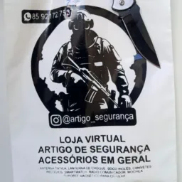 @artigo_segurança