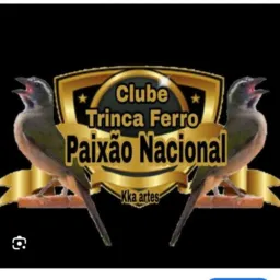 GRUPO DE PASSARO!!!! 016