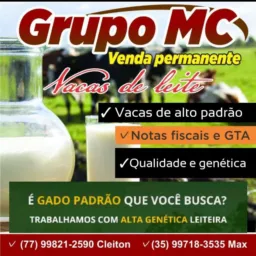 Vendas de Animais