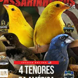 Arte de criar