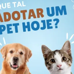 Adote um pet