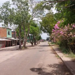 OLX  RUA DAS MANGUEIRAS🌳