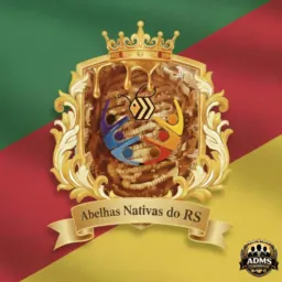 Abelhas Nativas do RS