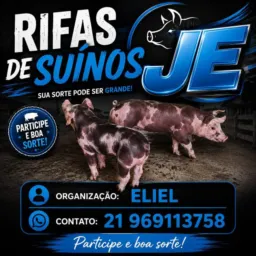 RIFA JE SUÍNOS 🐖
