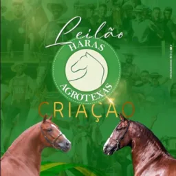 OPORTUNIDADES LEILAO AGROTEXAS