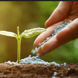 EGM fertilizantes