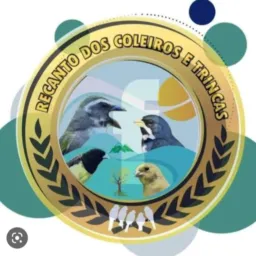 Rolo forte. Itajaí e navegantes🦅🪶🕊️