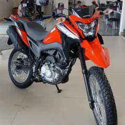 OLX PARAISO