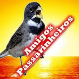 AMIGOS PASSARINHEIROS ..DDD 31
