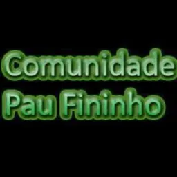 Pau finin vendas
