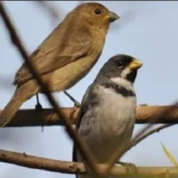 Rolo&Troca& venda Engenho novo RJ🐦⬛🦅
