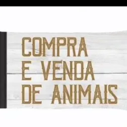 Três corações e região do sul de Minas