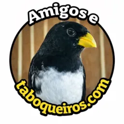Chopeiros de Santa Rita 🐦⬛