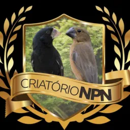 CRIATÓRIO NPN