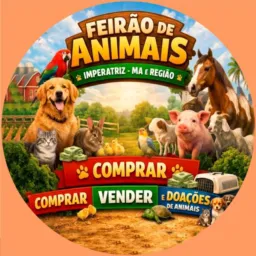 Feirão de animais de Imperatriz _ma e regiões vendas e doações