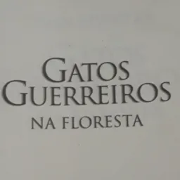 ~>》 Recepção 《<~