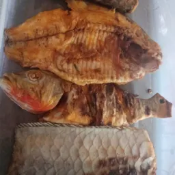 🤤Peixes é Churrascos Assados😋