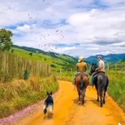 Grupo caminhos da Roça