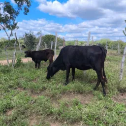 Adailton RIFAS..Linki só pra Qem participa da Rifa.e uma vez por dia.
