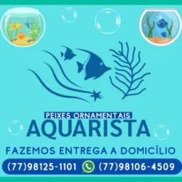 AQUARISTA PEIXES ORNAMENTAIS 🐠🐟🐠🐟