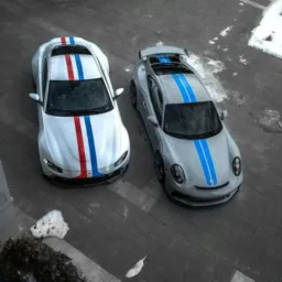 OS LOUCOS POR CAR PARKING