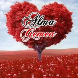 Encontre aqui a sua alma gêmea e faz novas amizades progressiva