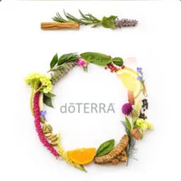 🍃doTerra 🍃Saúde e bem estar!🌿