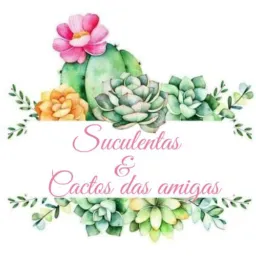 Suculentas & cactos das amigas🌵