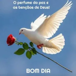 Rifa valendo 1 lugar 800 reais 2 lugar 50 3 lugar 50  valor do grupo 50 reais de cada chupar