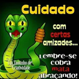 Amizades novas