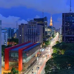 Segurança freelancer de São Paulo