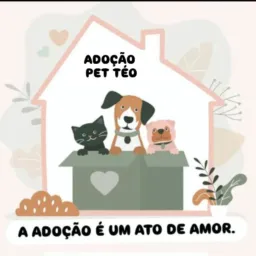 🐶ADOÇÃO PET TÉO 😻