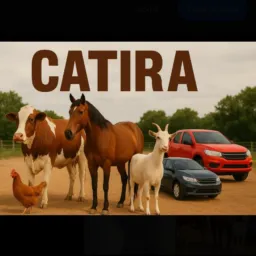 Catira toda hora 🐎🐂🐓🚘