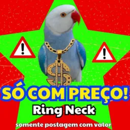Com preço ring neck ou então não coloca no grupo