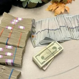 Bônus on 🎁🎁🎁